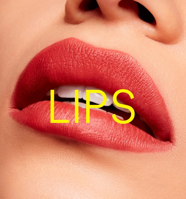 LIPS